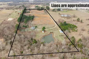 350 Private Rd 6937, Alba, TX 75410 - Photo 3