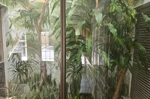 2004 Cherbourg Dr, Plano, TX 75075 - Photo 11