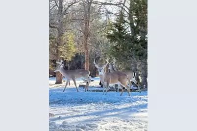 108 Red Eagle Court, Weatherford, TX 76087 - Photo 37