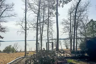 670 Red Bud Dr, Avinger, TX 75630 - Photo 27