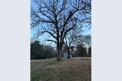 125 Lynn Creek Drive, Mabank, TX 75156 - Photo 3