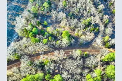 Tbd County Road 1512, Avinger, TX 75630 - Photo 7