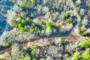 Tbd County Road 1512, Avinger, TX 75630 - Photo 7