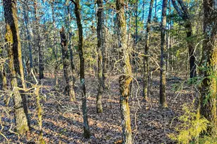 Tbd County Road 1512, Avinger, TX 75630 - Photo 9