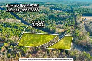 Tbd County Road 1512, Avinger, TX 75630 - Photo 1