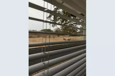 11311 Farm Road 197, Arthur City, TX 75411 - Photo 19