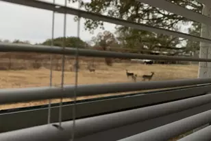 11311 Farm Rd 197, Arthur City, TX 75411 - Photo 19