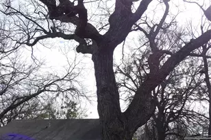 307 Rock St, Bowie, TX 76230 - Photo 31