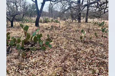 Lot 64 Janda Lane, Brownwood, TX 76801 - Photo 1