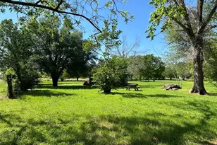 602 S Mignonette St, Kosse, TX 76653 - Photo 17