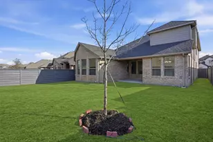 537 Oakmoss St, Little Elm, TX 76227 - Photo 25