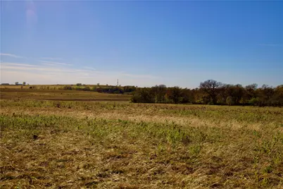 Tbd 80+/- Acres Cr-4421, Rhome, TX 76078 - Photo 5