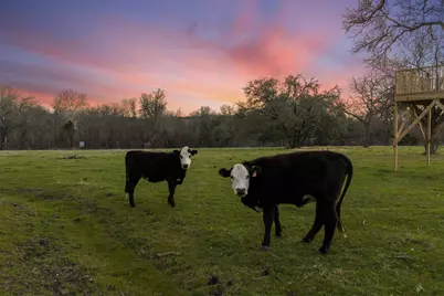 1435 County Road 3550, Valley Mills, TX 76689 - Photo 33