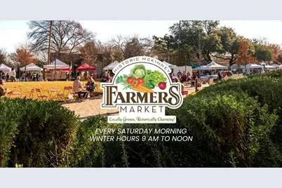 1013 Sherman Street, McKinney, TX 75069 - Photo 29