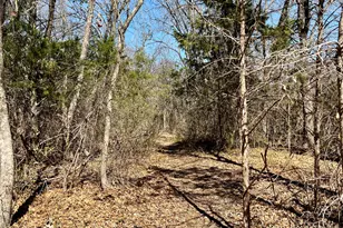 814 Clearlake Dr, Allen, TX 75002 - Photo 29