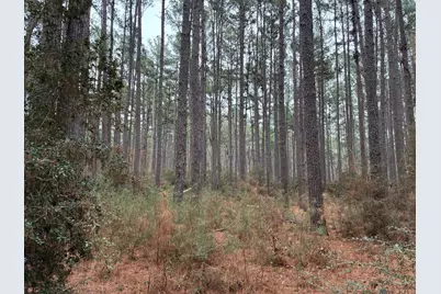 Tbd Fcr 240, Fairfield, TX 75840 - Photo 17