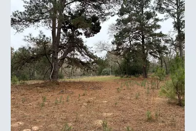 Tbd Fcr 240, Fairfield, TX 75840 - Photo 11