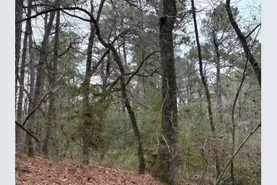 Tbd Fcr 240, Fairfield, TX 75840 - Photo 9