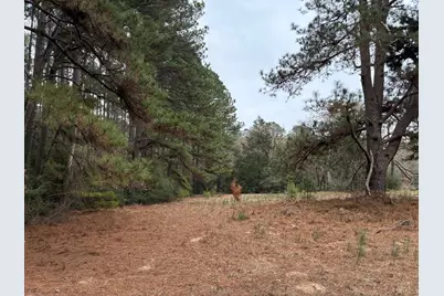 Tbd Fcr 240, Fairfield, TX 75840 - Photo 3