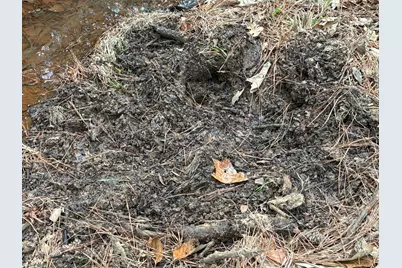 Tbd Fcr 240, Fairfield, TX 75840 - Photo 19