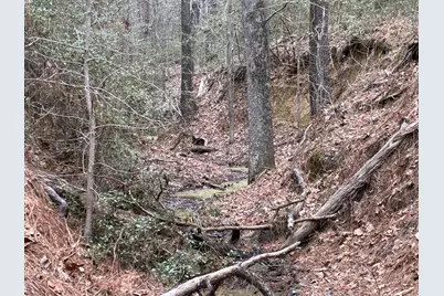 Tbd Fcr 240, Fairfield, TX 75840 - Photo 27