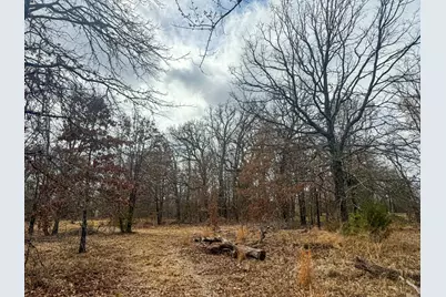 9696 Fm-515, Alba, TX 75410 - Photo 15