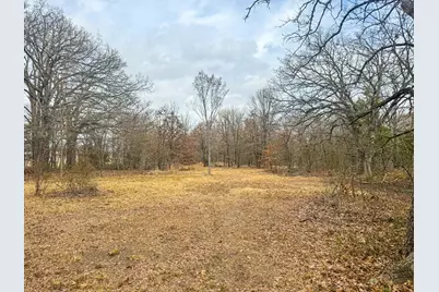 9696 Fm-515, Alba, TX 75410 - Photo 23