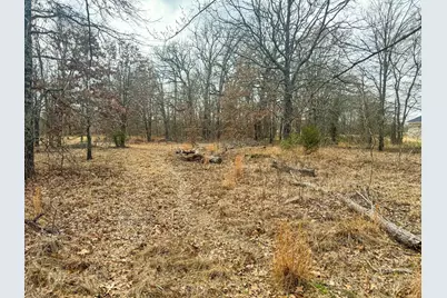 9696 Fm-515, Alba, TX 75410 - Photo 21