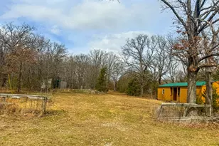 9696 FM 515, Alba, TX 75410 - Photo 1