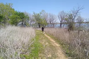 1728 Flamingo Dr, Little Elm, TX 75068 - Photo 15