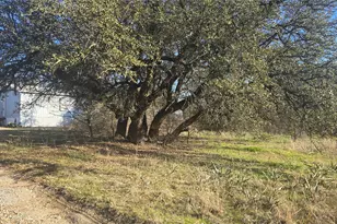 2833 Highland Rd, Springtown, TX 76082 - Photo 13