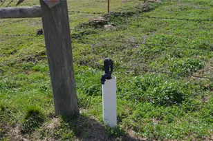 17293 US Hwy 82 W, Avery, TX 75554 - Photo 31