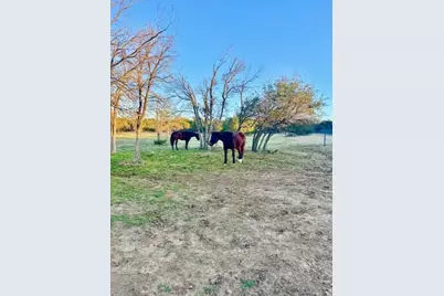 3350 Skyline Drive, Bluff Dale, TX 76433 - Photo 25