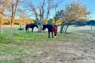 3350 Skyline Dr, Bluff Dale, TX 76433 - Photo 25