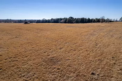 Tbd Fm 2339, Murchison, TX 75778 - Photo 7