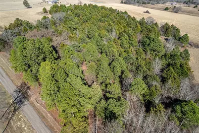 Tbd Fm 2339, Murchison, TX 75778 - Photo 17