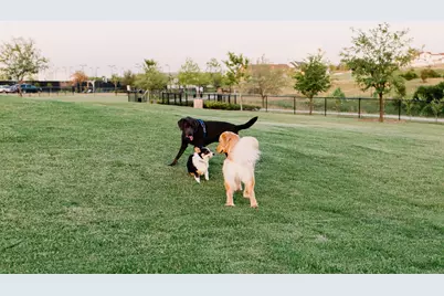 14344 Walsh Avenue, Aledo, TX 76008 - Photo 33