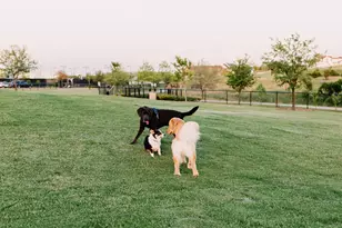 14344 Walsh Ave, Aledo, TX 76008 - Photo 33