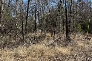 0000 Cr-3605, Quinlan, TX 75474 - Photo 1