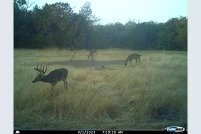 Tbd County Road 2440, Iredell, TX 76649 - Photo 23