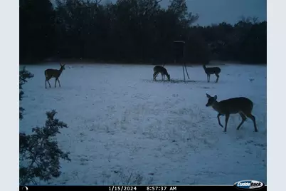 Tbd County Road 2440, Iredell, TX 76649 - Photo 27