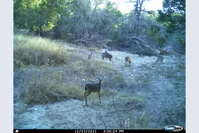 Tbd County Road 2440, Iredell, TX 76649 - Photo 25