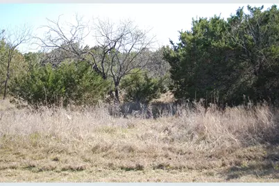 43130 Mountain Sage Drive, Whitney, TX 76692 - Photo 3