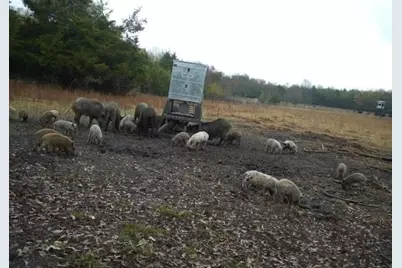 24200 County Road, Roxton, TX 75477 - Photo 7