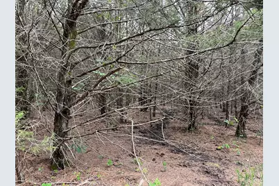 24200 County Road, Roxton, TX 75477 - Photo 11