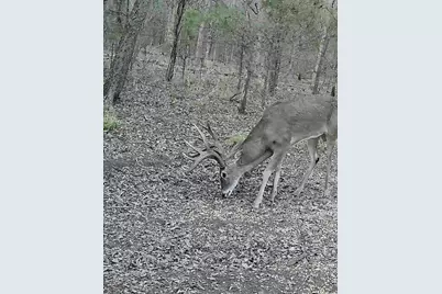 24200 County Road, Roxton, TX 75477 - Photo 9