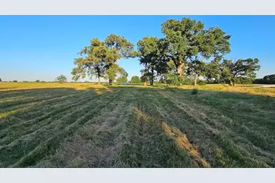 Tbd County Road 3512, Dike, TX 75437 - Photo 3