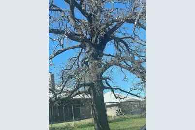 2405 County Road 805B, Keene, TX 76031 - Photo 5