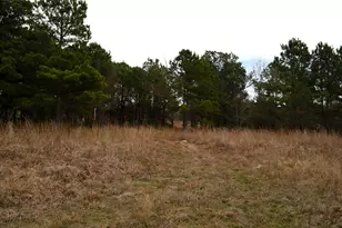 3843 FM1256, Eustace, TX 75124 - Photo 1