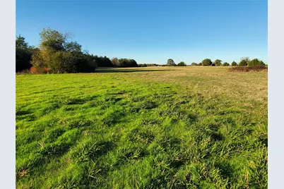 3721 Fm 1396 E, Ivanhoe, TX 75447 - Photo 5